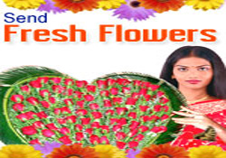 SEND FRESH FLOWERS TO INDIA