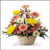 Affairs - Click here to View more details about this Product
