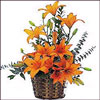 Lily Splendor - Click here to View more details about this Product