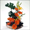 My Sunshine - Click here to View more details about this Product