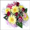 Ample Love - Click here to View more details about this Product