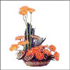 Sizzling Sensation - Click here to View more details about this Product