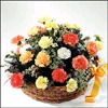 A Bundle of Happiness - Click here to View more details about this Product