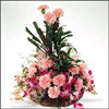 Pink Paradise - Click here to View more details about this Product