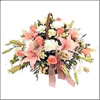 Emperors delight - Click here to View more details about this Product
