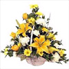 Sunset haze - Click here to View more details about this Product
