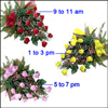 Morning to Night - Click here to View more details about this Product