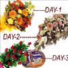 Three days wishes - Click here to View more details about this Product