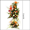 Golden Pride - Click here to View more details about this Product
