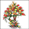 Royale - Click here to View more details about this Product
