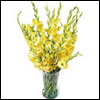 Yellow Tide - Click here to View more details about this Product