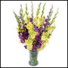 Cupids Choice - Click here to View more details about this Product