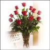 In style - Click here to View more details about this Product