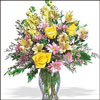 Natural Splendor - Click here to View more details about this Product