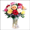 Pleasant Expression - Click here to View more details about this Product