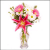 Stylish Stock - Click here to View more details about this Product