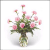 Classic Carnation - Click here to View more details about this Product