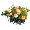 Golden glow - Click here to View more details about this Product