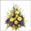 Sunny honey - Click here to View more details about this Product