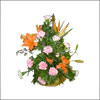 Spring Delight - Click here to View more details about this Product