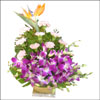 Shinning Beauty - Click here to View more details about this Product