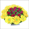 Summer Brust - Click here to View more details about this Product