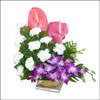 True Sensation - Click here to View more details about this Product
