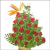 Red Dawn - Click here to View more details about this Product