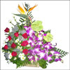 Exotic Breeze - Click here to View more details about this Product