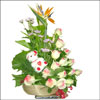 Morning Joy - Click here to View more details about this Product