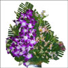 Pruple Haze - Click here to View more details about this Product