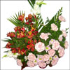 Silent Beauty - Click here to View more details about this Product
