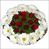 Circle of Love - Click here to View more details about this Product
