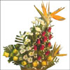 Fall Wonder - Click here to View more details about this Product