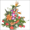 True Enchantment - Click here to View more details about this Product