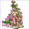 True Paradise - Click here to View more details about this Product