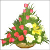 Angels Choice - Click here to View more details about this Product