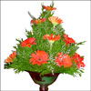 Red Cascade - Click here to View more details about this Product
