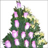 Mosaic Touch - Click here to View more details about this Product