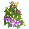 Hidden Love - Click here to View more details about this Product