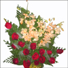 Dual Delight - Click here to View more details about this Product