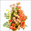 Sundry Love - Click here to View more details about this Product