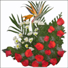 Crimson Joy - Click here to View more details about this Product