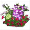 Graceful Grandeur - Click here to View more details about this Product