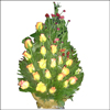 Yellow Mania - Click here to View more details about this Product