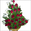 Crimson Beauty - Click here to View more details about this Product