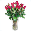Bold and Beautiful - Click here to View more details about this Product