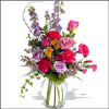Natural Wonder - Click here to View more details about this Product
