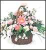 Spring Fellow - Click here to View more details about this Product