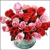 Special Thanx 2 U - Click here to View more details about this Product